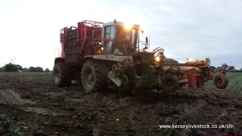 Beet harvester