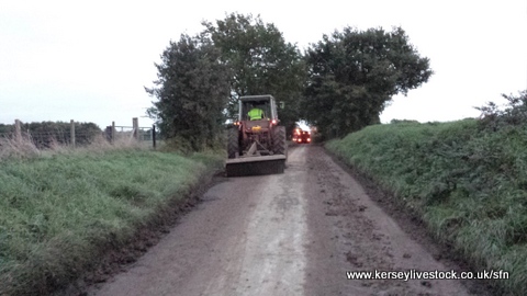 sugar beet cleanup